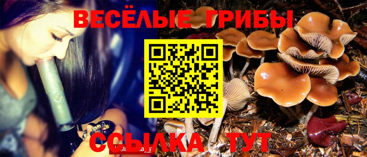 Галлюциногенные грибы прущие грибы Урай